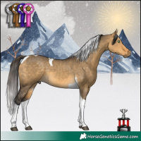 Horse Color:Buckskin Dun Tobiano