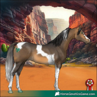 Horse Color:Buckskin Tobiano 