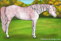 Horse Color:Gray Watercolor Silver Black Ice Pearl Tobiano 