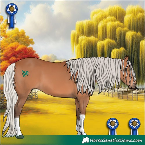 Horse Color:Silver Bay Tobiano 