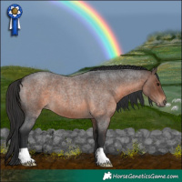 Horse Color:Brown Roan 