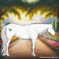 Horse Color:Perlino Roan 