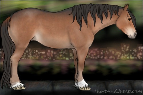 Horse Color:Liver Red Roan 