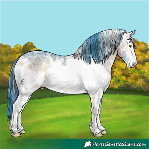 Horse Color:Watercolor White Spotted Bay Chinchilla Ice Onyx 