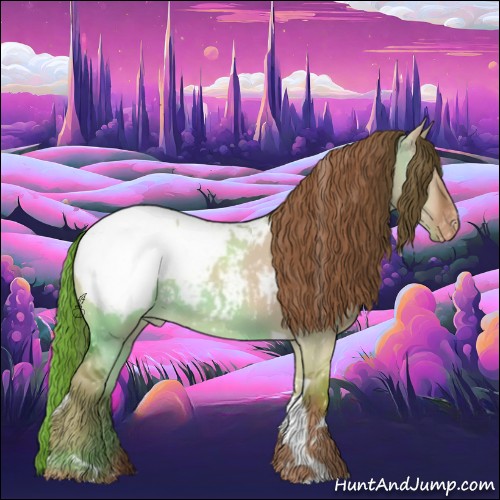 Horse Color:Red Dun Tobiano Appaloosa Rabicano 