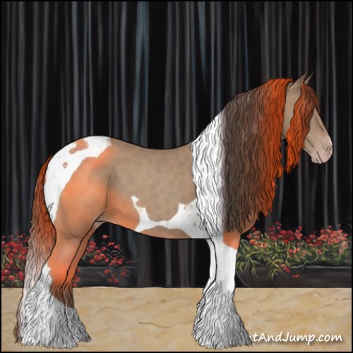 Horse Color:Classic Champagne Tobiano 