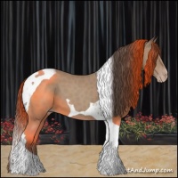 Horse Color:Classic Champagne Tobiano