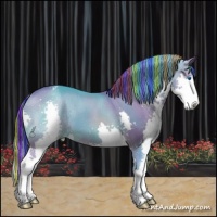 Horse Color:Painted Watercolor Bay Splash Appaloosa
