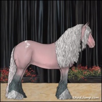 Horse Color:Watercolor Silver Bay Dun Appaloosa 