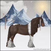 Horse Color:Liver Chestnut Tobiano 
