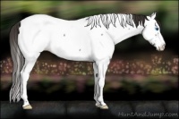 Horse Color:Liver Red Roan Splash Tobiano Near Fewspot
