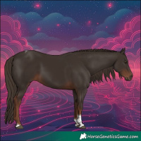 Horse Color:Liver Chestnut Tobiano 