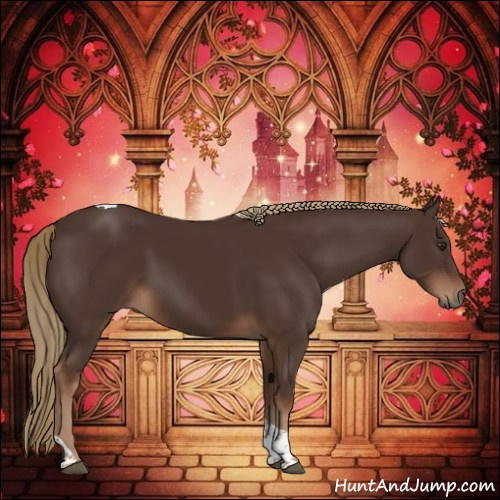 Horse Color:Liver Chestnut Tobiano 