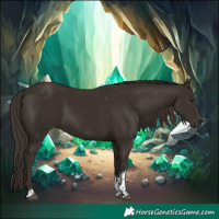 Horse Color:Liver Chestnut Tobiano