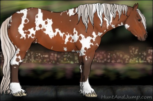 Horse Color:White Spotted Silver Bay 