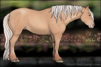 Horse Color:Silver Sable Champagne 