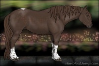 Horse Color:Liver Chestnut Tobiano 