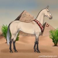 Horse Color:Bay Dun