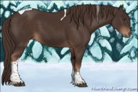 Horse Color:Liver Chestnut Tobiano 