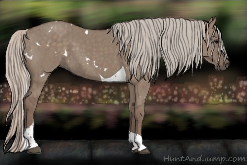Horse Color:White Spotted Silver Grullo Tobiano Brindle