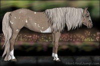 Horse Color:White Spotted Silver Grullo Tobiano Brindle