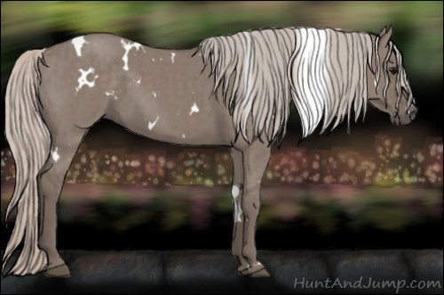 Horse Color:White Spotted Silver Grullo Brindle 