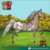 Horse Color:White Spotted Silver Grullo Brindle 