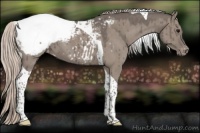 Horse Color:Silver Grullo Tobiano Appaloosa Brindle 
