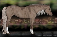 Horse Color:Silver Grullo Tobiano Brindle 