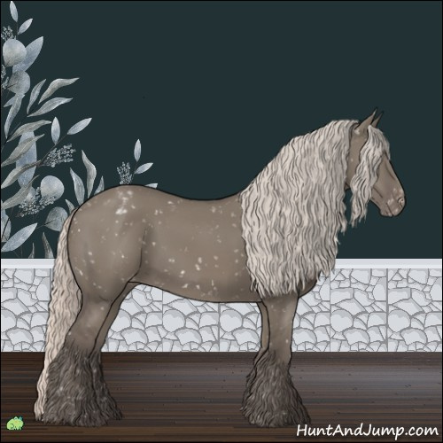 Horse Color:Silver Grullo Appaloosa 