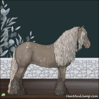 Horse Color:Silver Grullo Snowflake Varnish 