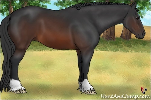 Horse Color:Brown 