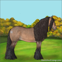 Horse Color:Brown Dun 