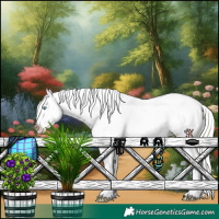 Horse Color:White Spotted Silver Smoky Black Pearl Appaloosa 