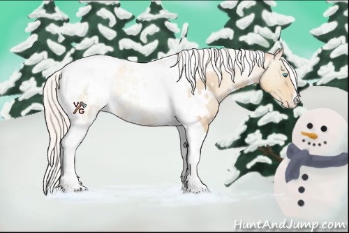 Horse Color:White Spotted Silver Classic Cream Champagne Pearl Tobiano Appaloosa