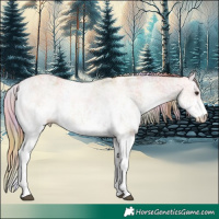 Horse Color:Nacre White Spotted Chestnut Rabicano