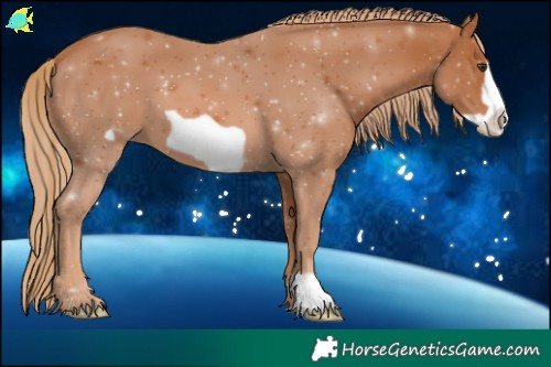 Horse Color:Chestnut Frame 
