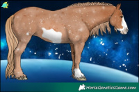 Horse Color:Chestnut Frame