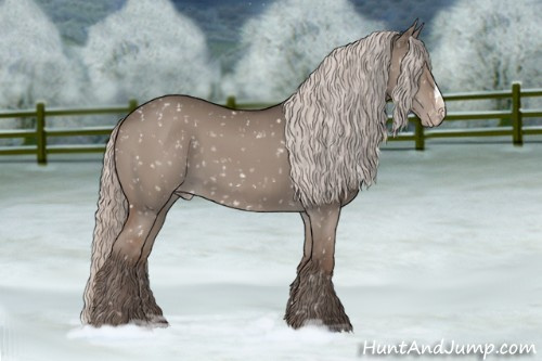 Horse Color:Silver Grullo Snowflake Varnish 