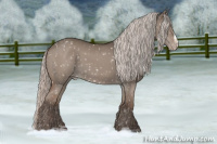 Horse Color:Silver Grullo Snowflake Varnish 