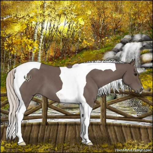 Horse Color:Silver Blue Roan Tobiano
