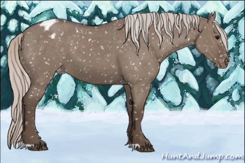 Horse Color:Silver Grullo Snowflake Varnish