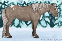 Horse Color:Silver Grullo Snowflake Varnish 