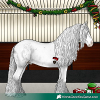 Horse Color:White Spotted Brown Mushroom Sabino Splash Appaloosa  and Sable Champagne Chinchilla Sabino Splash Tobiano Appaloosa 