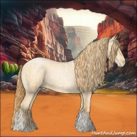 Horse Color:Buckskin Roan Pearl  and Buckskin Roan Pearl 