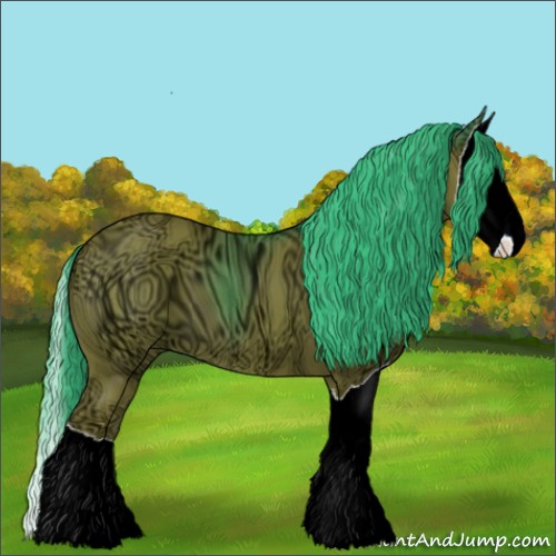 Horse Color:ERROR: UNKNOWN ANOMALY