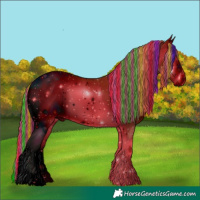 Horse Color:ERROR: UNKNOWN ANOMALY