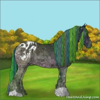 Horse Color:Painted Watercolor Bay Ice Appaloosa