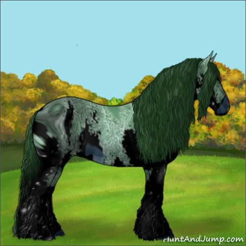 Horse Color:ERROR: UNKNOWN ANOMALY