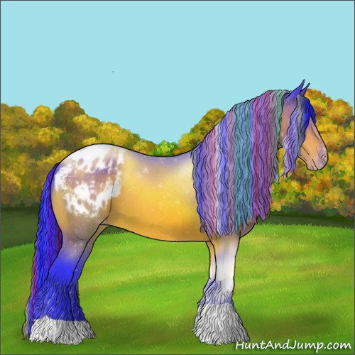 Horse Color:ERROR: UNKNOWN ANOMALY
